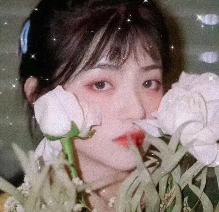 兄妹之地